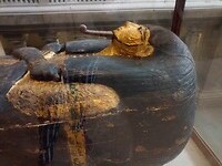 IMG_20220410_111138016