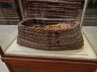 IMG_20220410_111355639