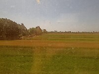 IMG_20220412_134353805