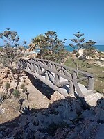 IMG_20220414_085358969