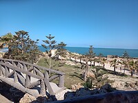 IMG_20220414_085414025