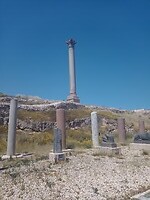 IMG_20220414_105950164