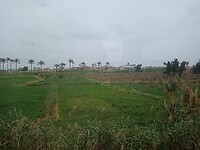 IMG_20220418_120327987