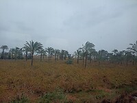 IMG_20220418_120335629
