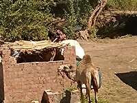 IMG_20220422_135422215
