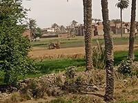 IMG_20220422_140523772