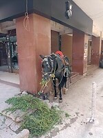 IMG_20220423_154809680