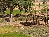 IMG_20220422_140435601