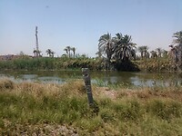 IMG_20220424_113539193