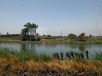 IMG_20220424_114327935