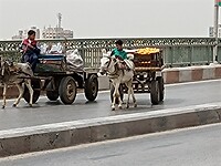 IMG_20220425_102222995