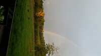 IMG-20201007-WA0016