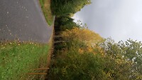 IMG-20201008-WA0004