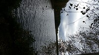 IMG-20201011-WA0008