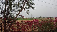 IMG-20220418-WA0003