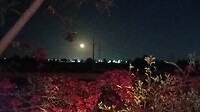 IMG-20220419-WA0024