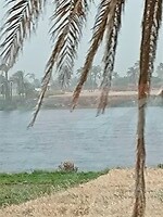 IMG_20220426_100329607