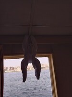 IMG_20220426_165131470_HDR
