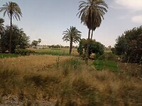 IMG_20220428_123122988