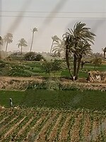 IMG_20220428_134125057