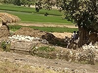 IMG_20220428_135627102