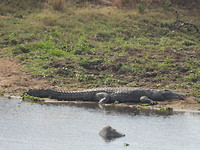 Ons uitzicht op crocodile river