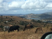 Zicht op Swaziland