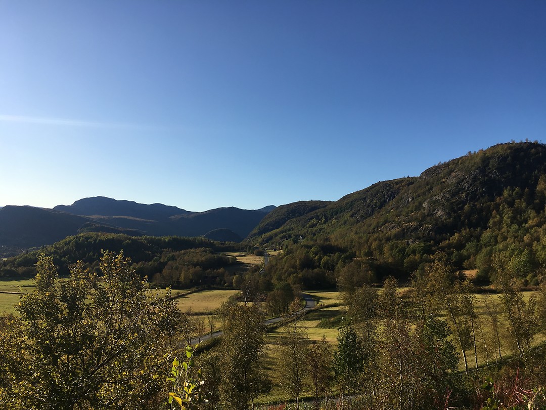 Uitzicht