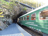 Trein
