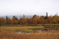 Herfst