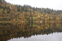 Spiegeling