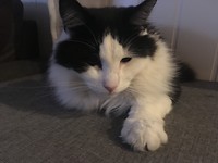 Max, een beetje depri omdat hij niet naar buiten kan