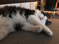 Max na een aantal uurtjes stappen