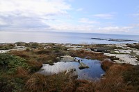 Wandelen langs de kust
