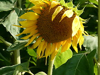 92999163-5F25-4C91-B94A-00ED70B9E784