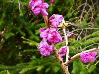 image0