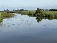 IMG_1048