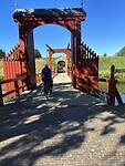 IMG_1106