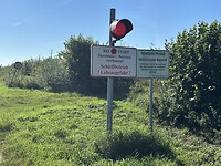 IMG_1107