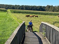 IMG_0454