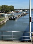 IMG_8521