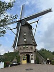 IMG_8557