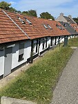 IMG_8595