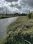 IMG_8611