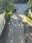 IMG_1181