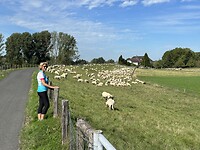 IMG_1200