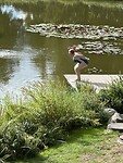 IMG_1207
