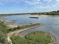 IMG_1217