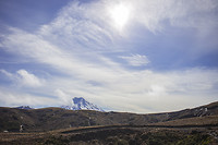 IMG_1382