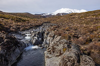 IMG_1387